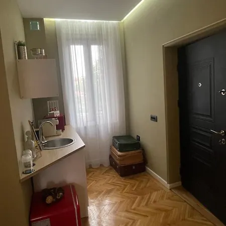 New Opera Studio Old City Center Self Check In * Timişoara