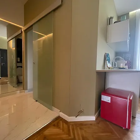 Lägenhet New Opera Studio Old City Center Self Check In Timişoara