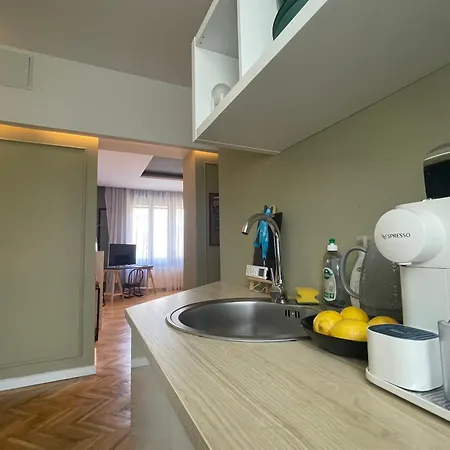 New Opera Studio Old City Center Self Check In Timişoara