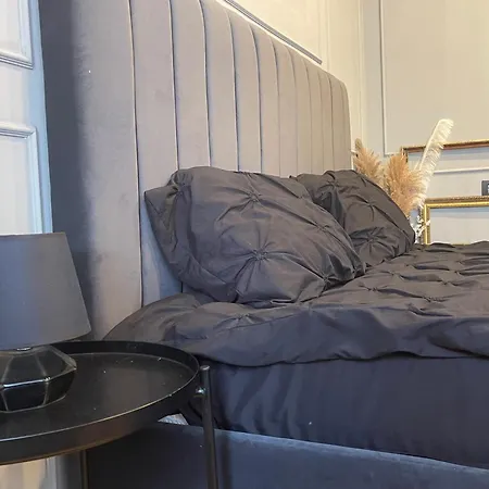 New Opera Studio Old City Center Self Check In * Timişoara