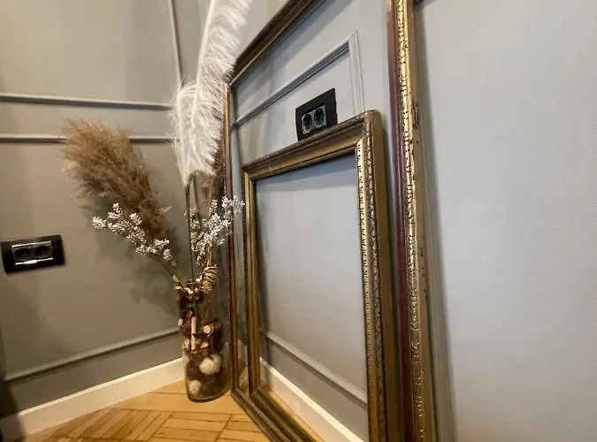 New Opera Studio Old City Center Self Check In Timişoara