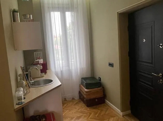 New Opera Studio Old City Center Self Check In * Timisoara