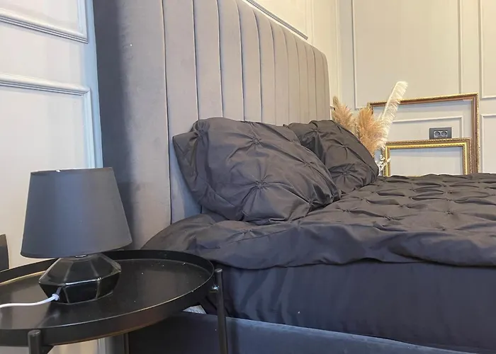 New Opera Studio Old City Center Self Check In * Timisoara