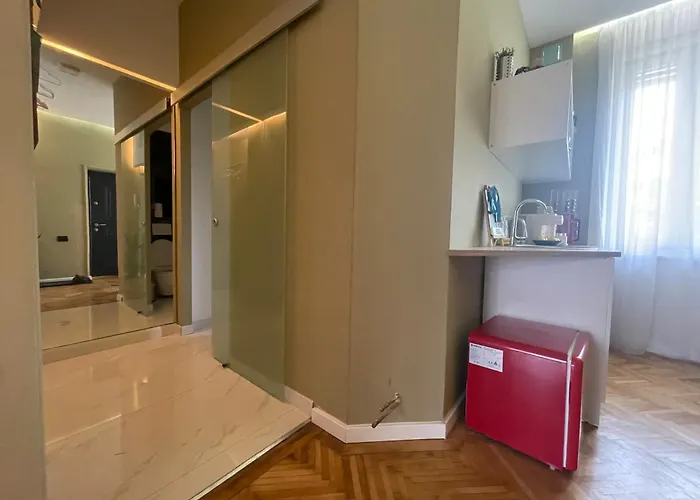 Appartement New Opera Studio Old City Center Self Check In Timişoara