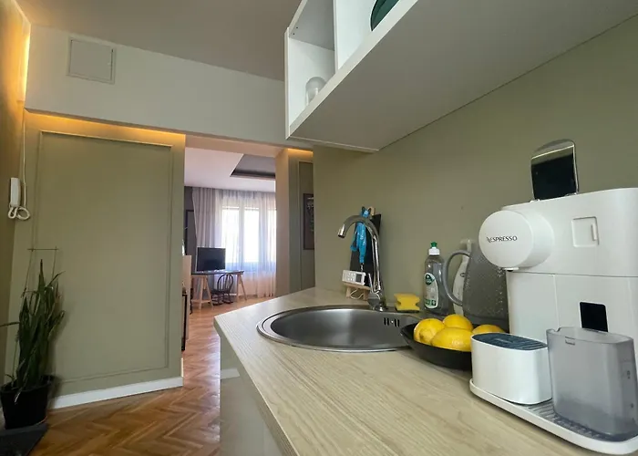 New Opera Studio Old City Center Self Check In Timişoara